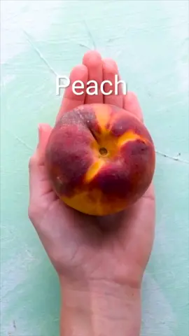 Do you like peaches? 🍑💗 [Full video on YouTube: Blossom] 😋 #DIY