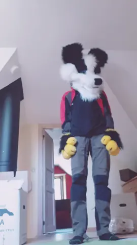 hyper mode activated #furryfandom #furry