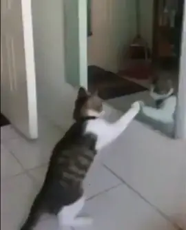 😎😎