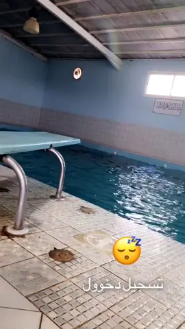 #تسجيل_دخول مته آخر مره سبحت؟☹️♥️🔥 #مسبح #foryou #تيم_فراس #اكسبلور