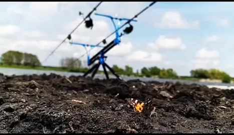 #carpfishing#карповаяловля#rhinobaits#карпфишинг#unitedrhinoteam#девушканарыбалке