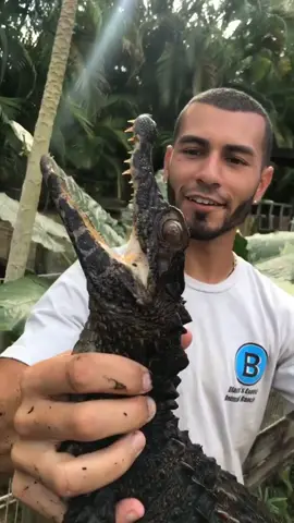 🐊🐊 #foryou #showyouoff #wildlife #animal #animals #nature #animalthoughts #croc #reptile #crazy