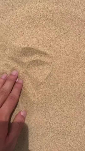 #thepig #peppapig #showyouoff #wizardsonly #meversus #GuacDance #foryou #fyp #foryoupage