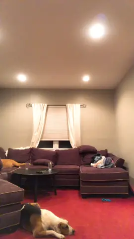 @chrismcknight55 really wanted to do this so make us famous #foryou #obsessed #howhotisit