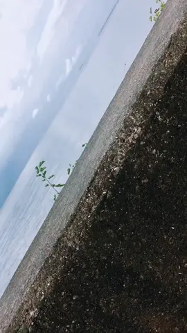 Where are all my Ohioans at? 🙌🏻 #ohio #ohiocheck #ohioan #419 #foryou