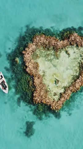 We ♥️ you! #australia #foryou #foryoupage #travel #hamiltonisland #heartreef #Love