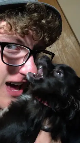 Late night madness with Puddin p.2 😂❤️#foryou #foryoupage #feature #featureme #dogs #pets #tiktok