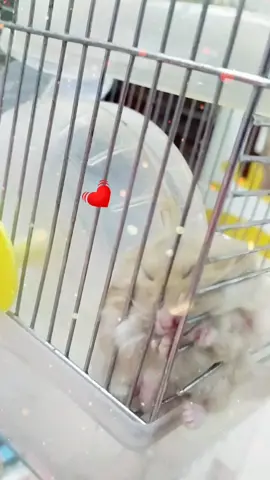 Ngủ kì cục vậy chòi 😂