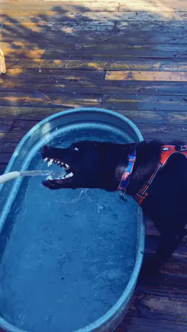 Me when I’m Thirsty