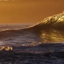 can I get 50k likes on this awesome scene???