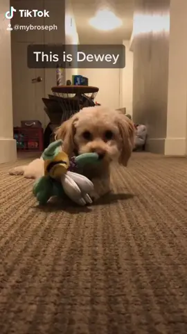 Unfortunately yes, she does have an Instagram: hellodeweydoodle #foryoupage #foryou