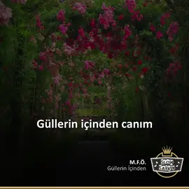 Güllerin içinden koşarak gelmesini istediğin kişiyi etiketle :) 🌹