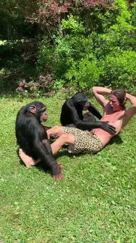 How many sit ups did we do? 😅🙈 #makeitawesome #chimps #monkeys #workout