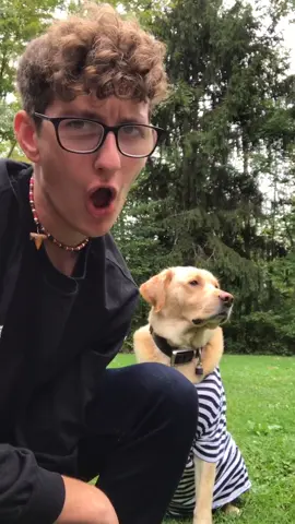 My dad came outside 😂❤️ #tiktok #foyou #foryoupage #feature #featureme #pets #dogs #eboy #elevate