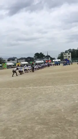 綱引き優勝の舞い#ブックオフなのに本ねーじゃん #ブックオフなのに本ねーじゃん #ブックオフなのに本ねーじゃん #ブックオフなのに本ねーじゃん #ブックオフなのに本ねーじゃん