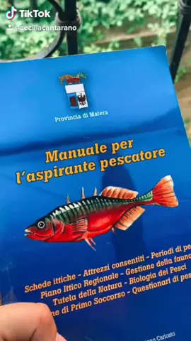 #ognigiornoweekend