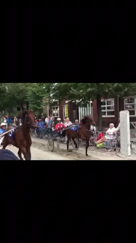 zijn jullie ook wel eens wezen kijken bij een race?😍🐎 #race #fun #foryou #foryoupage