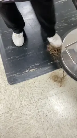 Somebody lost big 😳! Please for their sake don’t let this flop 😁 #walkitback #haircut #game #foru #fyp #4u #foryoupage