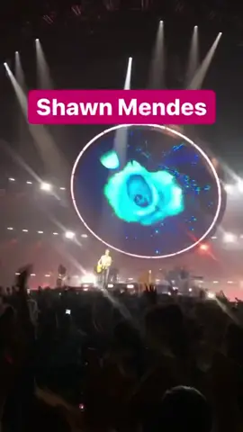 my concerts of 2019 have been pretty great so far #concert #fyp #concertcheck #arianagrande #wdw #shawnmendes #foryoupage #foryou