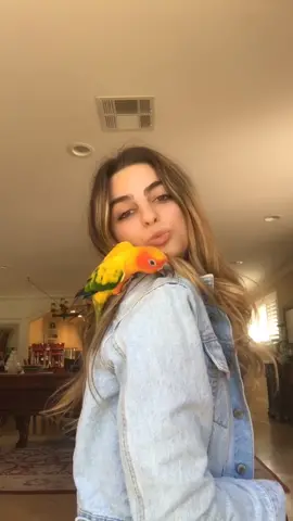 The Justin to my Hailey 💜