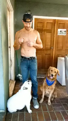 Your ATTENTION PLEASE. #trevordonovan #dogs #thisisme