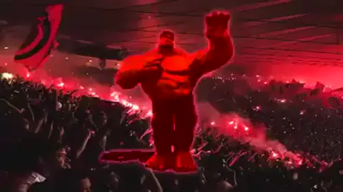 @flamengo #flamengo #FlemengoESelecao Você Pensa que o Flamengo é time? (wallace)