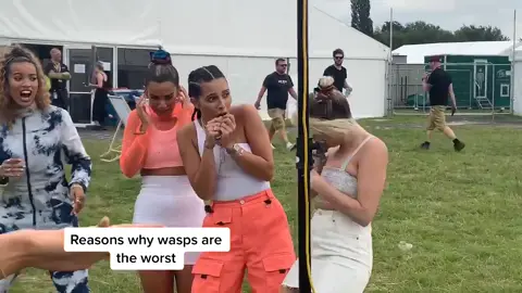 #reasonswhy wasps are the worst #herewegoagain #foryoupage #summwr #waspgate #slomo #girlband #fourofdiamonds
