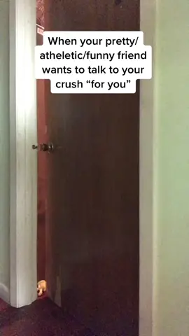 Rlly balanced my phone on top of two ramen boxes, a bag of rice, and a few cans of cat food #fyp #foryou