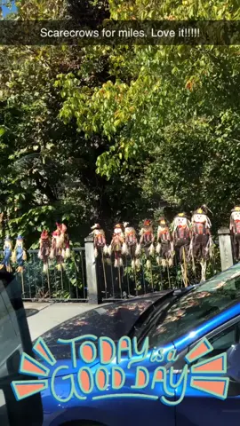 So many scarecrows! #TNcheck#Gatlinburg#vacation#fall#scarecrowsfadays