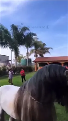 🙏🥰🥰🥰🥰🙆🏼‍♂️🙆🏼‍♂️🙆🏼‍♂️🙈🙈🐎🐎⚡️⚡️⚡️⚡️⚡️#coment