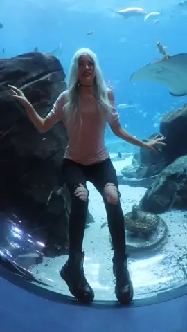 ur bff ace goes to the aquarium 🐠 @jonyyboyy look who