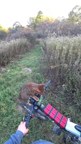 The beginning of an epic adventure. Full 11 min of this adventure + full versions of other videos available on IGTV on my Instagram @professor_pouncey