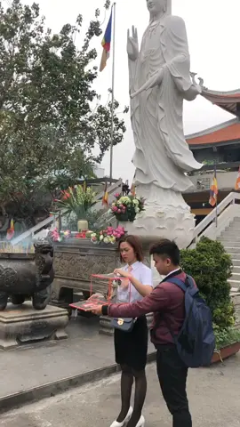 Quý Phật tử phóng sinh .