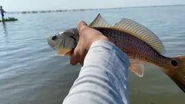 We got a monster 😂😂😂 #crushedit #thingsthathappened #kayakfishing #foyou #iconicfashion #LastChristmasMovie