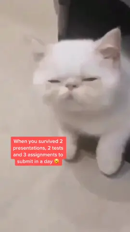 Anyone else always leave things to last minute? 🙃 #exammaddness  #foryou #assignments #presentationday #examfever #sotired #allnighter