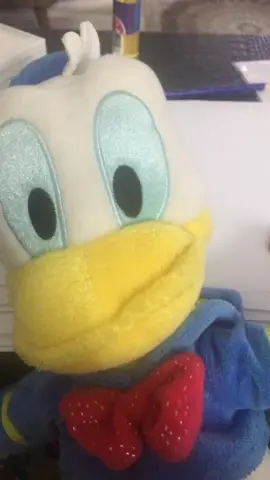 Mah chicken check 🦆😂.                      #foryoupage #foryou #chickencheck