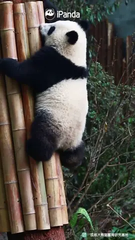 When you feel tired, you are going uphill. Hang in there!