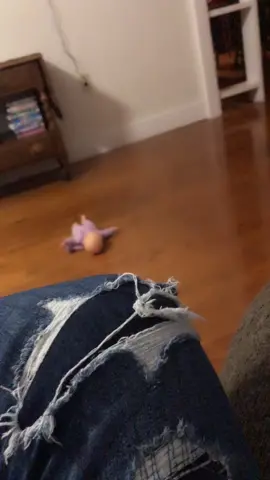 When your guy best friend is afraid of spiders and you have to kill it 😂😂 #foryou #hesscared #spider #killedit