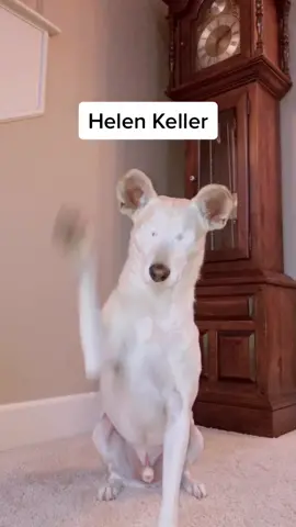 If he’s not inspiring I don’t know what is. #BornToGlow #foryoupage #foryou #movember #streamingwars