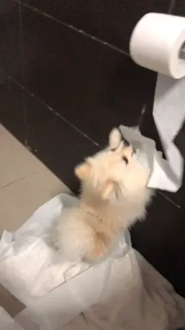 אני עושה פיפי. והיא בסך הכל עוזרת לי עם הנייר 😂😂👨🏻‍🎤