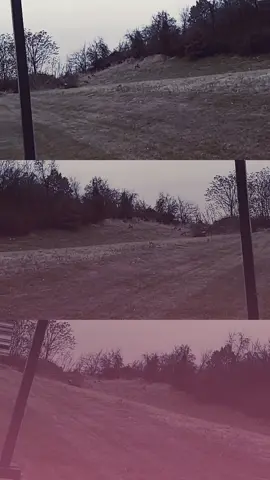 when your waiting to be let in the restaurant, but see what you'd rather be eating!