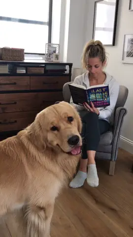 #badboy #foryou #tiktokpets