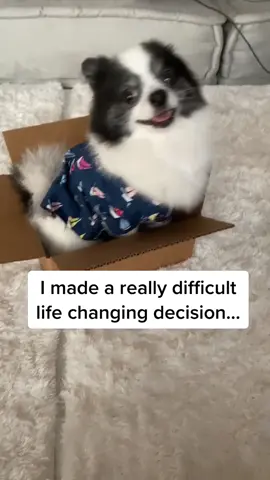 Starting a new life 🐼