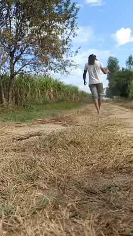 तेरे गोरे रंग तै आच्छी लाग्गै..लाली जमीन की #kheti_kyukar_chodu #farmerlife #desi #jaat #desibande #featureme #haryanvisong #haryanvilovers