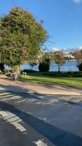 Bình yên sớm mai part2 #dalat