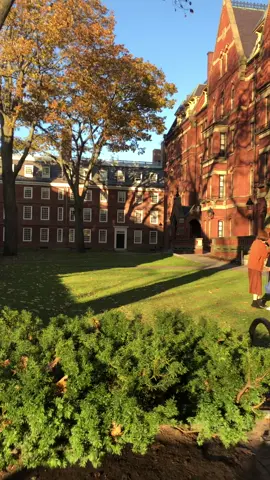 Harvard’s campus is so pretty #harvard #college #fyp #foryou
