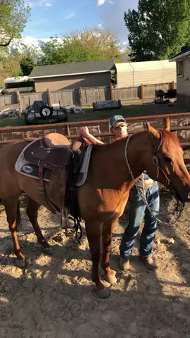 Best way to get on a horse. #horse #sowholesome #4u #yeeyee