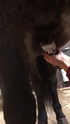 Well then... @philip.svitzer #foryou