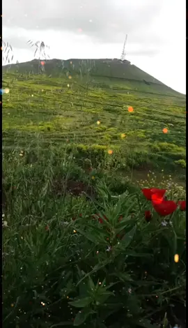 ربيع العام الماضي  من الحسكه جبل كوكب 😍😘خبرونا من وين شفتم الفيديوو😍😍😍❤❤❤❤