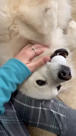 excuse my sick voice 😷🤒 @cassidyredfern1  #fyp #foryou #foryoupage #viral #tiktok #trending